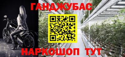 сатива Кулебаки